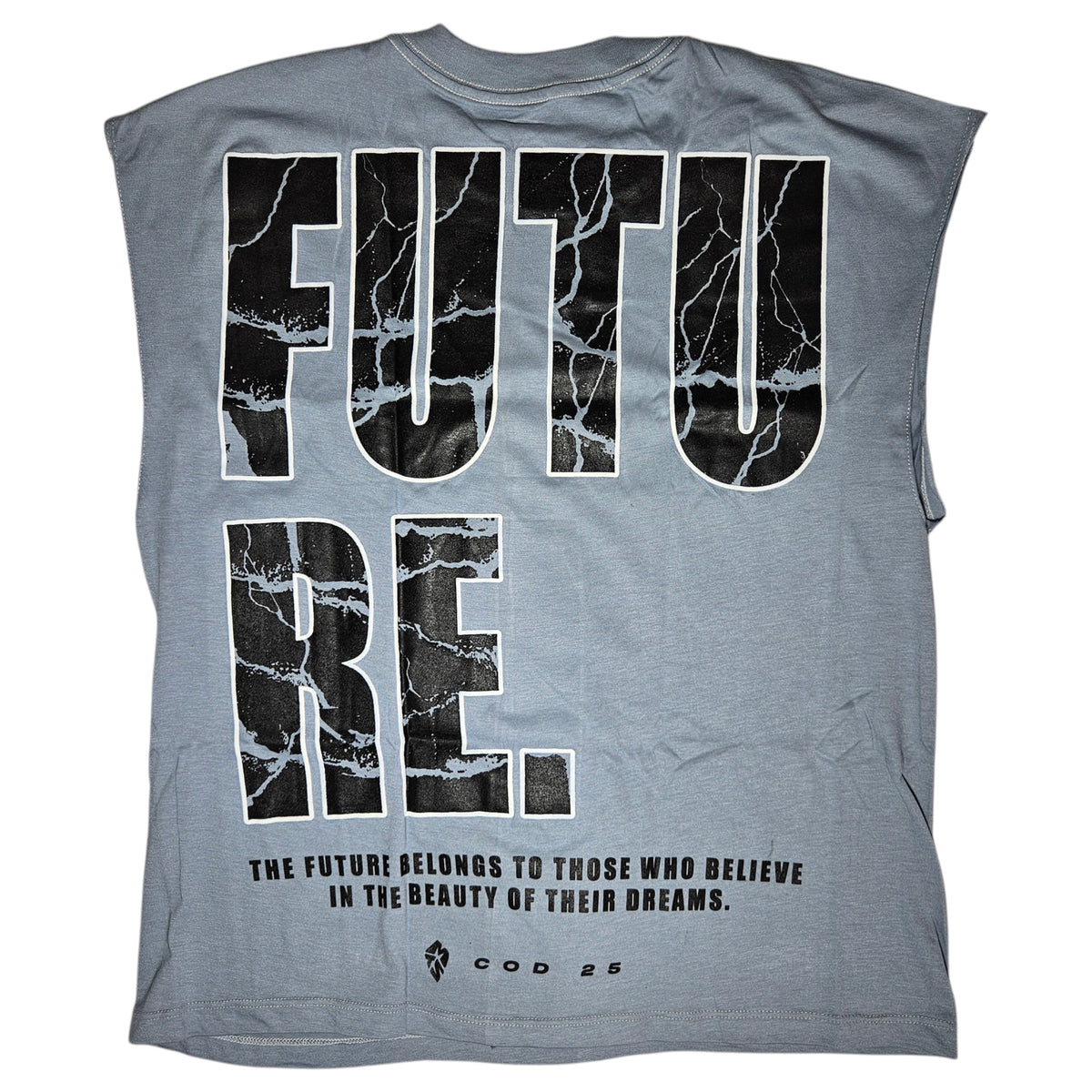 Manga Zero Future Dreams