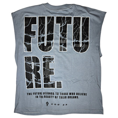 Manga Zero Future Dreams